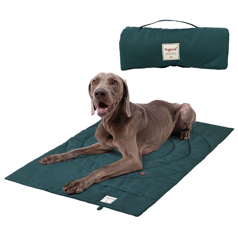 Tappetino per animali domestic - Outdoor Camping Rug recensione e prezzo