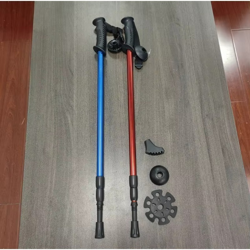 Bastoncini da Trekking in Lega - Trekking Poles recensione e prezzo